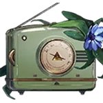 Ms. Radio