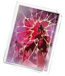Shattered Home