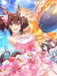 Hishi Akebono (SSR)