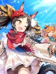 Marvelous Sunday (SSR)