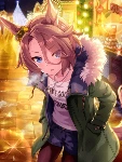 Narita Taishin (SSR)