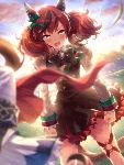 Nice Nature (SSR)