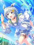 Seiun Sky (SSR)