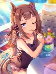 Sweep Tosho (SSR)