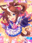 Tokai Teio (SSR)
