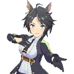 Fuji Kiseki (Shooting Star Revue)