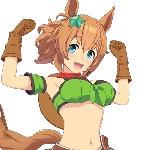 Taiki Shuttle (Wild Frontier)